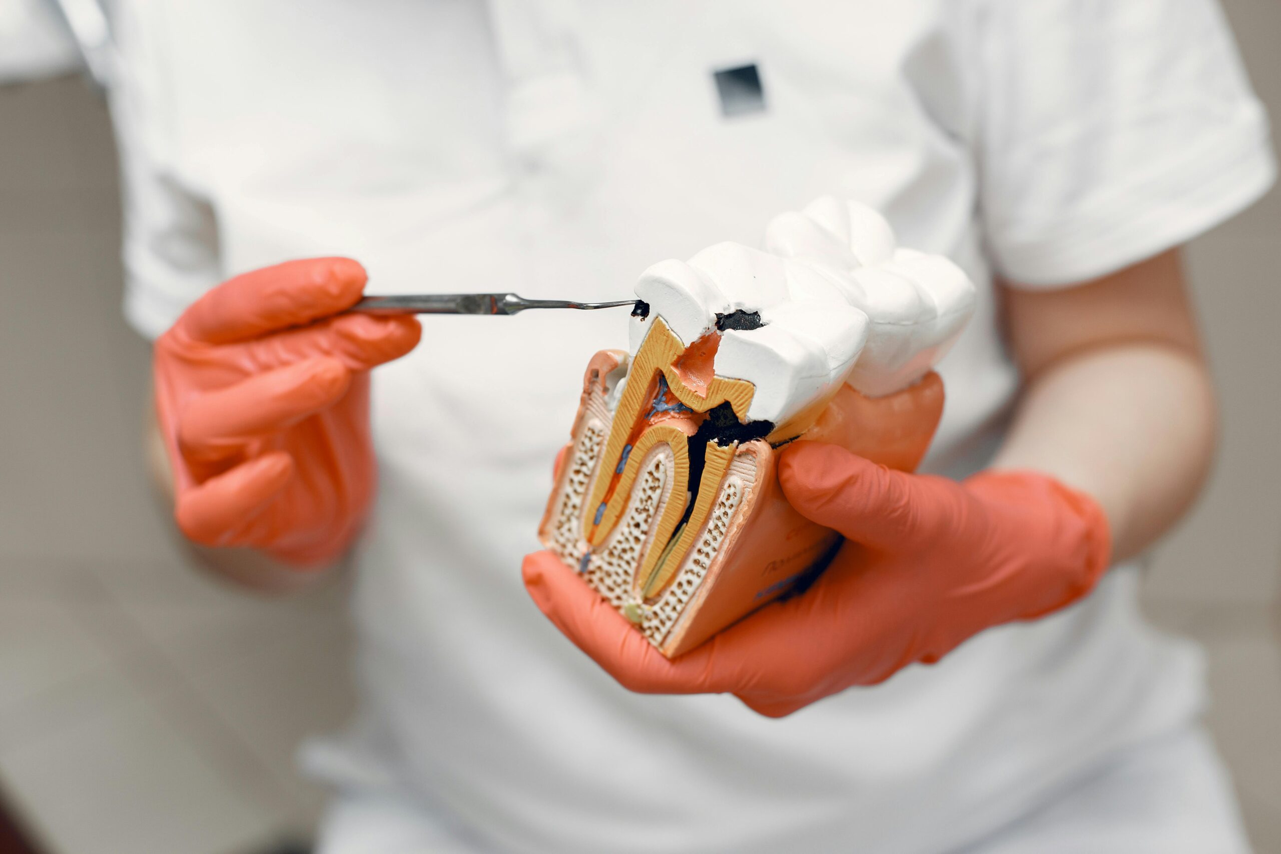 Painless and affordable root canal therapy from a trusted dentist in Elkin, Yadkinville, Wilkesboro, North Wilkesboro, Dobson, Mt. Airy, Boonville, and Jonesville, NC.